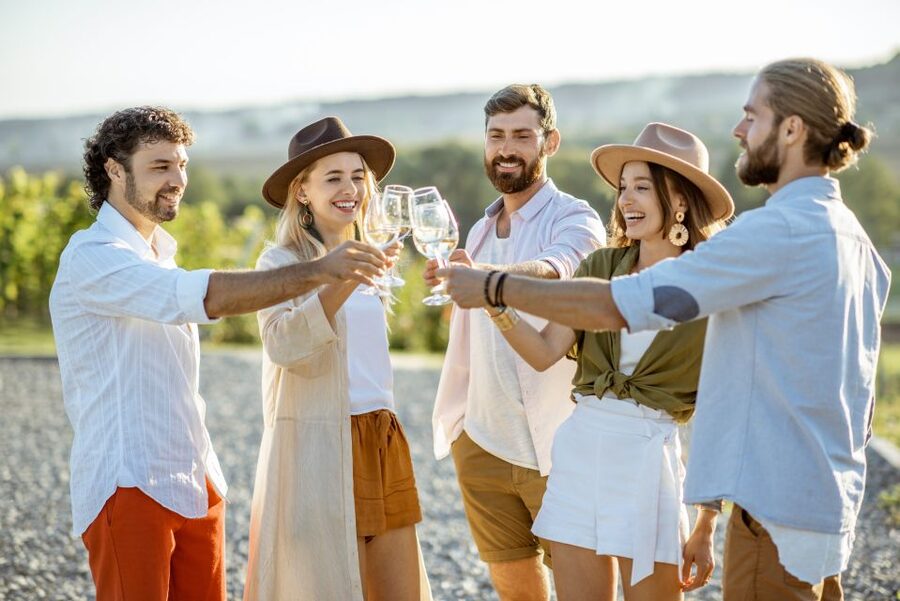 Lanzarote: Day Tour for Cruise Passengers - La Geria wine tasting in black volcanic soil