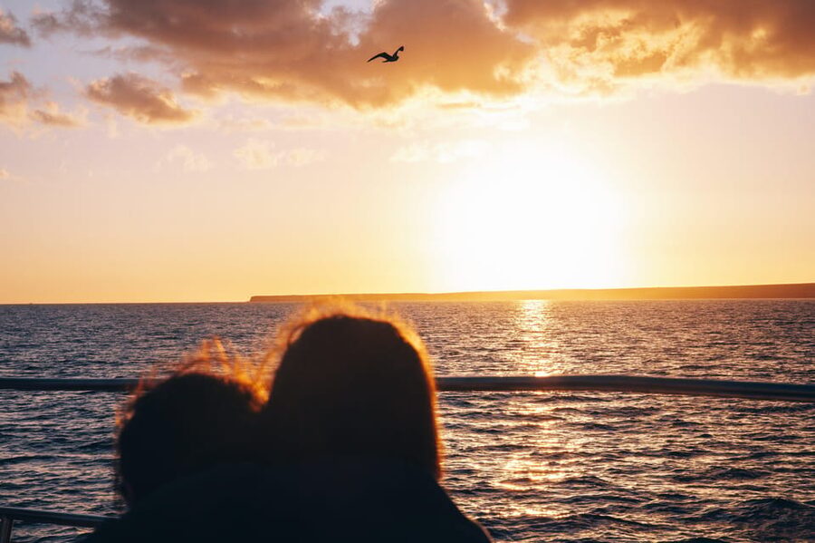 Lanzarote: Dolphin-Watching Sunset Cruise with Transfers - Key points at a glance