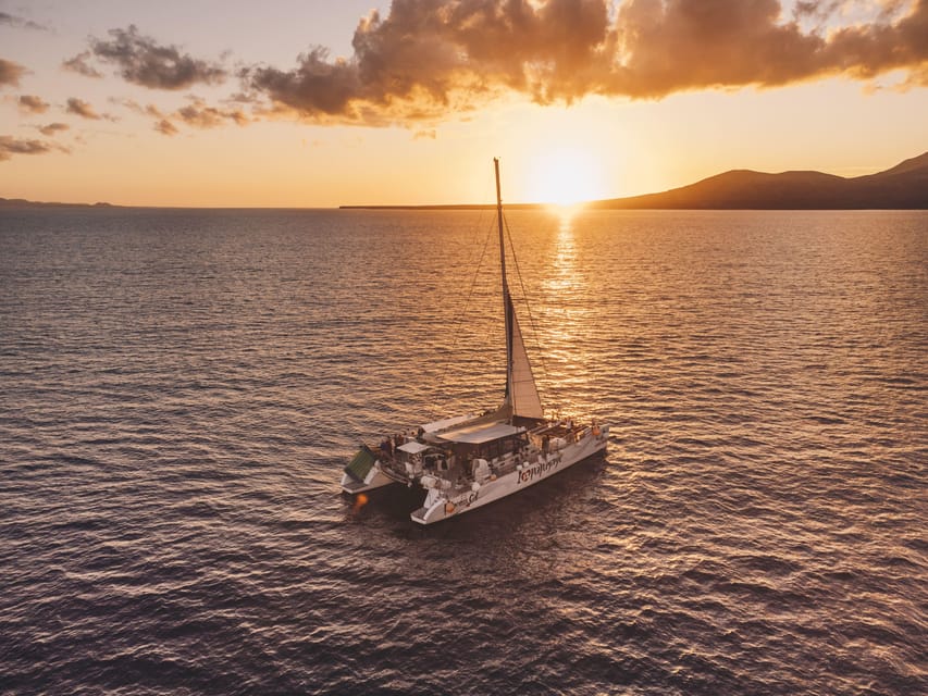 Lanzarote: Dolphin-Watching Sunset Cruise with Transfers - Searching for dolphins in the Atlantic