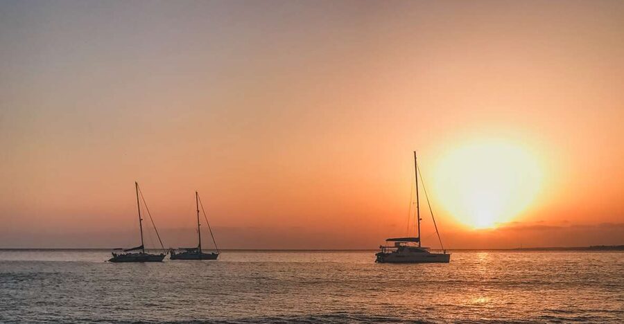 Lanzarote: Dolphin-Watching Sunset Cruise with Transfers - The two-hour route and what you see