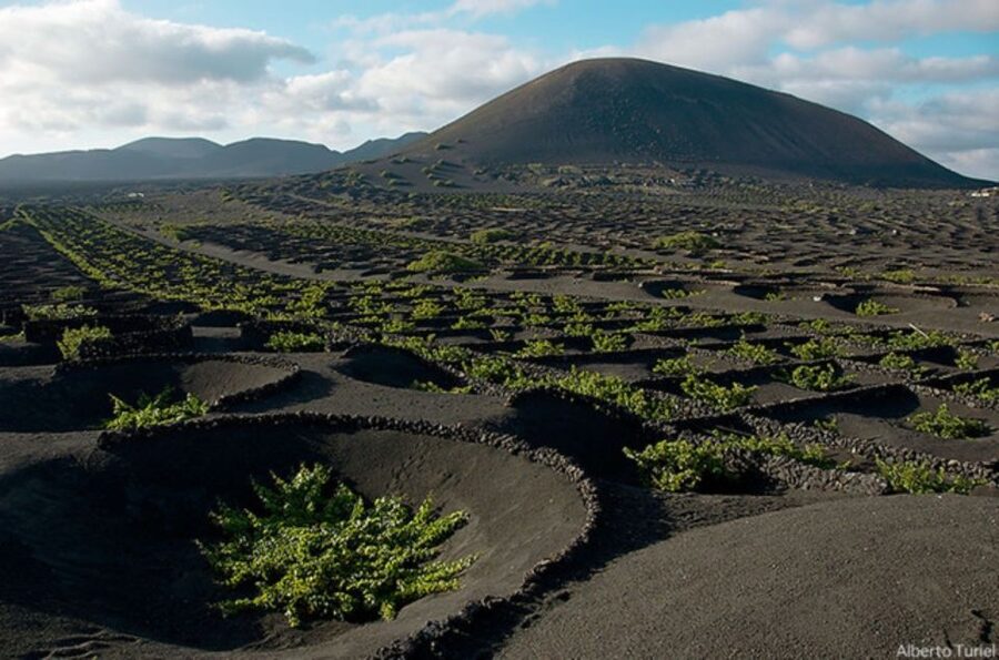 Lanzarote: Full Day Bus Tour with Scenic Views - Key points before you book