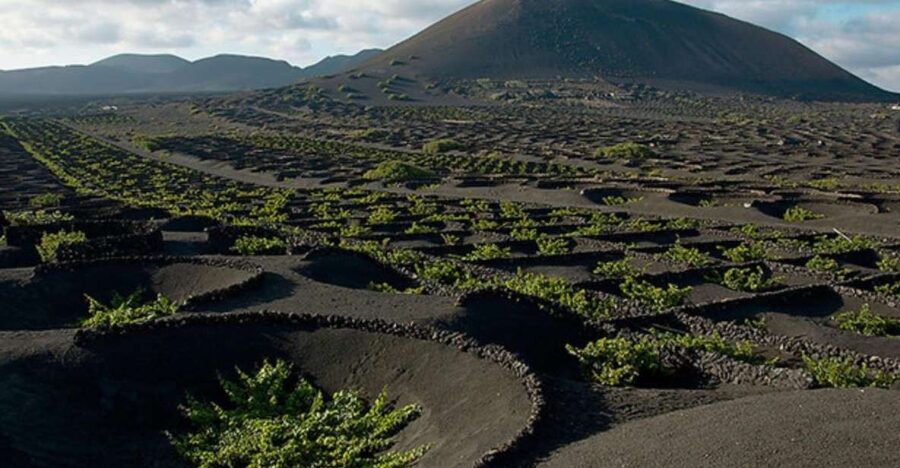 Lanzarote: Full Day Bus Tour with Scenic Views - Timanfaya National Park and the Route of the Volcanoes