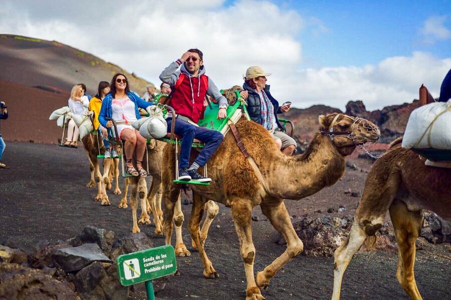 Lanzarote: Full-Day Island Highlights Tour - Timanfaya National Park: the strongest part of the day