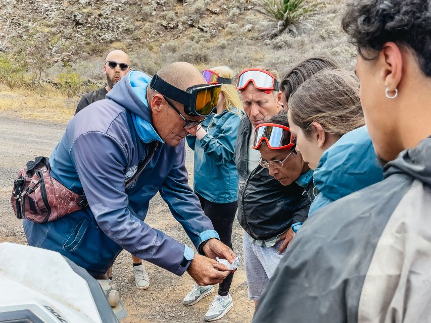 Lanzarote: Guided Off-Road Volcano Buggy Tour - Key points at a glance