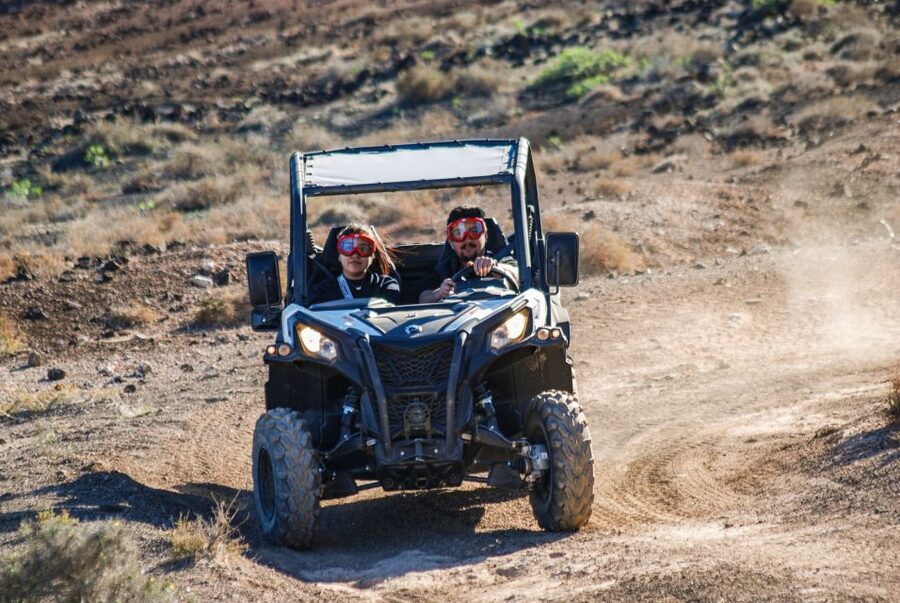 Lanzarote: Guided Off-Road Volcano Buggy Tour - Who should book this adventure?