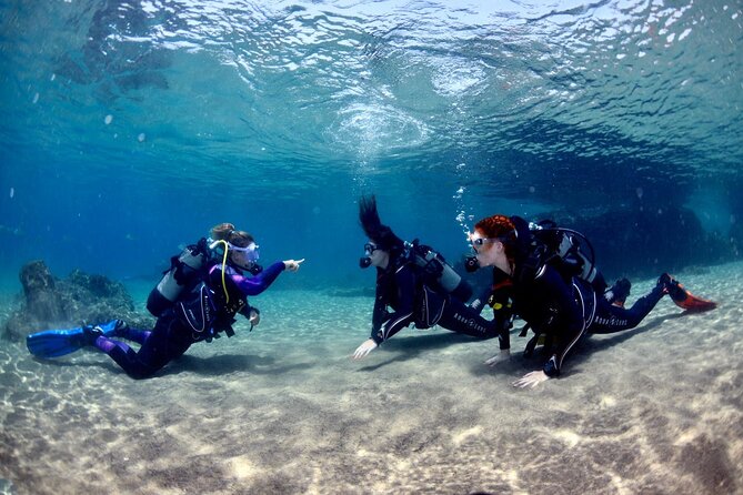Lanzarote Introductory Scuba Diving Experience - The 30 to 35-minute underwater tour