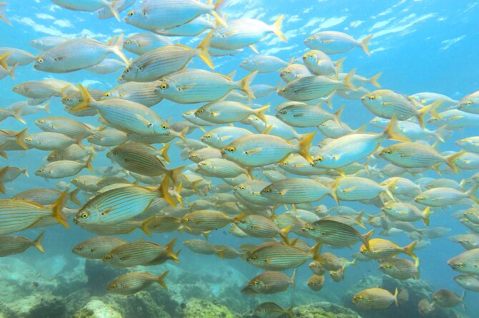 Lanzarote Introductory Scuba Diving Experience - Walking down to Playa Chica