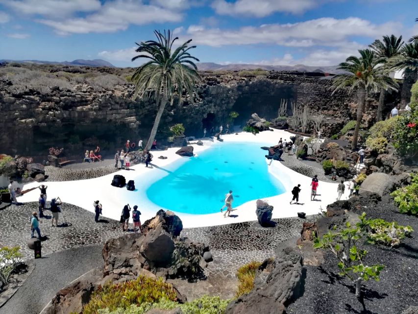 Lanzarote: Jameos del Agua & North Island for Cruise Guests - Why this three-hour tour works for cruise passengers