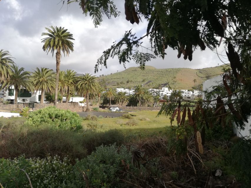 Lanzarote: Jameos del Agua & North Island for Cruise Guests - The guide and bus experience
