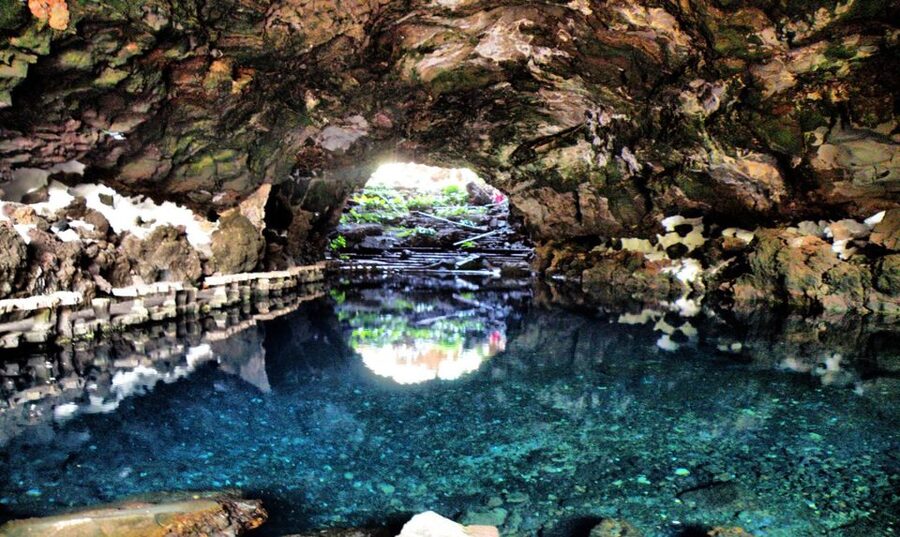 Lanzarote: Jameos del Agua & North Island for Cruise Guests - Who should book this outing