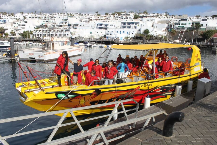 Lanzarote: Lobos Island Half-Day Dolphin Watching Trip - Price, timing, and who gets the best value