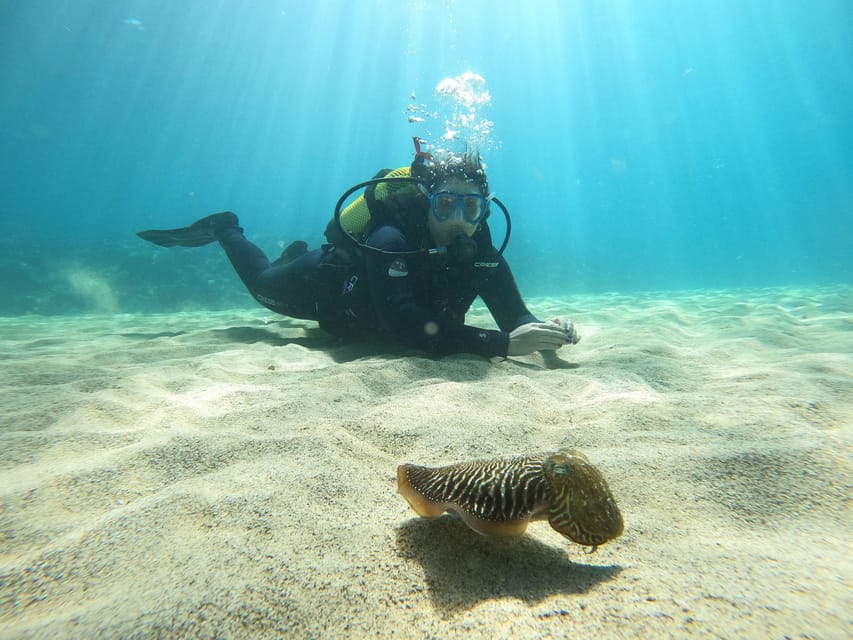 Lanzarote: Scuba Diving for Beginners - 1 Dive - The shallow-water practice makes the main outing easier