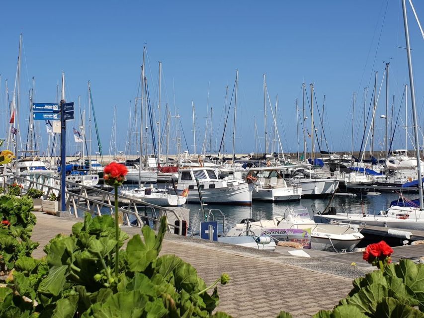 Lanzarote: Sea Safari Experience - Small boat benefits and real limitations