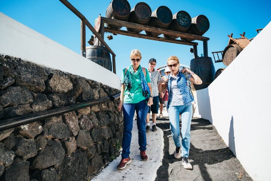 Lanzarote: Timanfaya National Park & La Geria Tour - Who should book this Lanzarote tour?