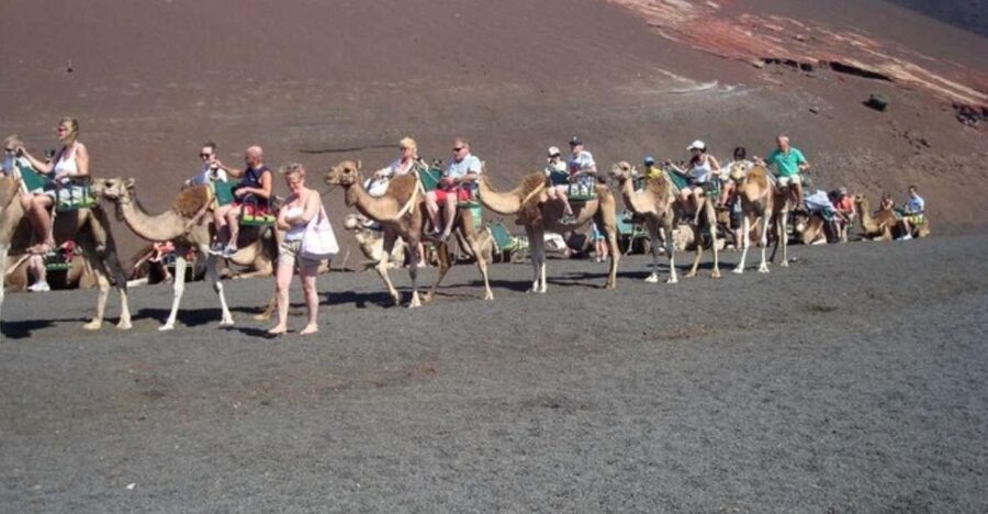 Lanzarote: Timanfaya National Park Tour - Key points to know before you book