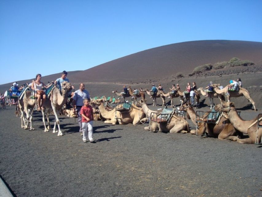 Lanzarote: Timanfaya National Park Tour - Why Timanfaya deserves half a day