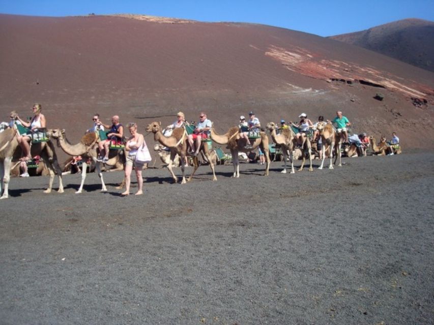Lanzarote: Timanfaya National Park Tour - Who will enjoy this tour most