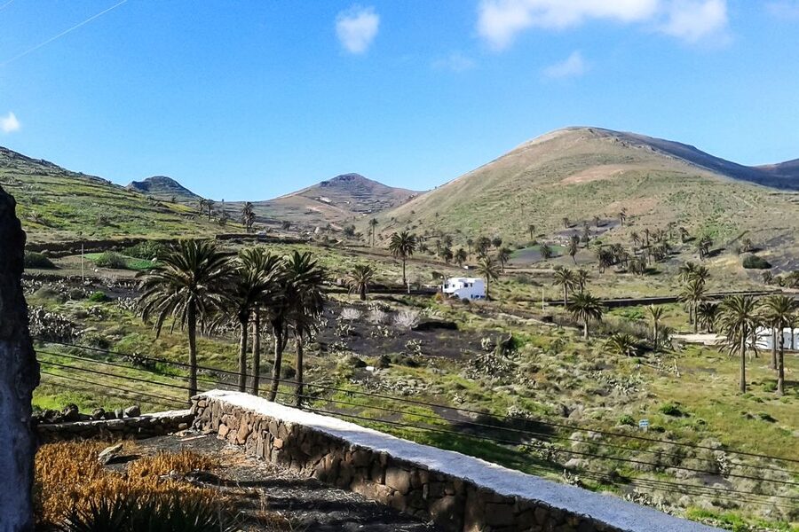 Lanzarote: Timanfaya Park and Jameos del Agua Full-Day Tour - The day in five useful facts