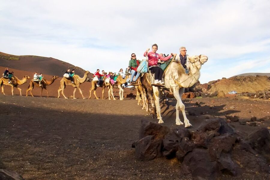 Lanzarote: Timanfaya Park and Jameos del Agua Full-Day Tour - Why this Lanzarote day trip works
