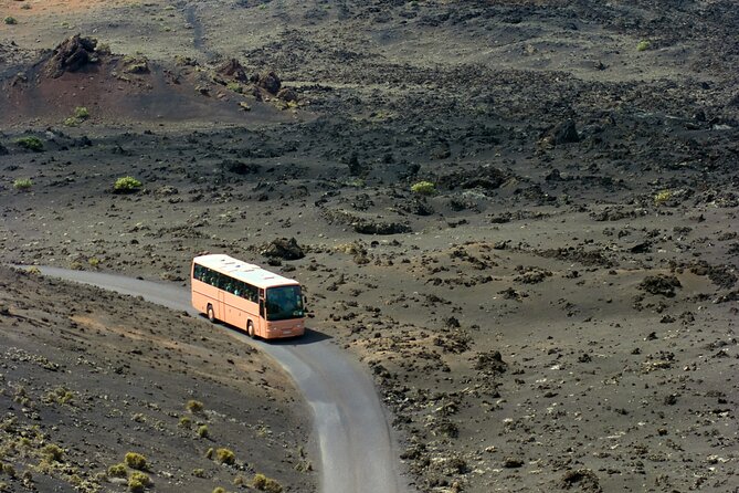 Lanzarote Volcano and Wine Region Tour from Fuerteventura - Seeing La Geria’s strange vineyards