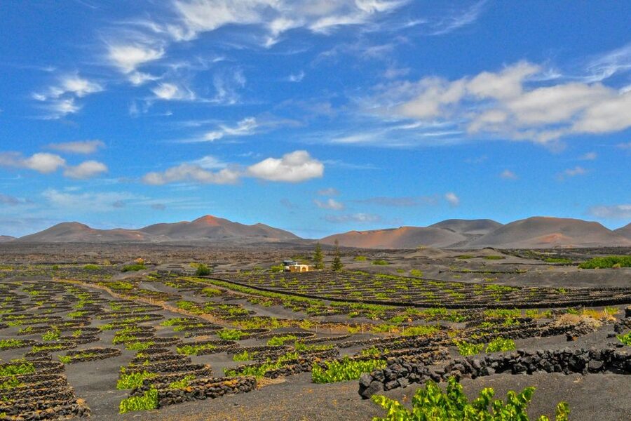 Lanzarote: Volcanos of Timanfaya and Caves Tour with Lunch - Why this nine-hour route works