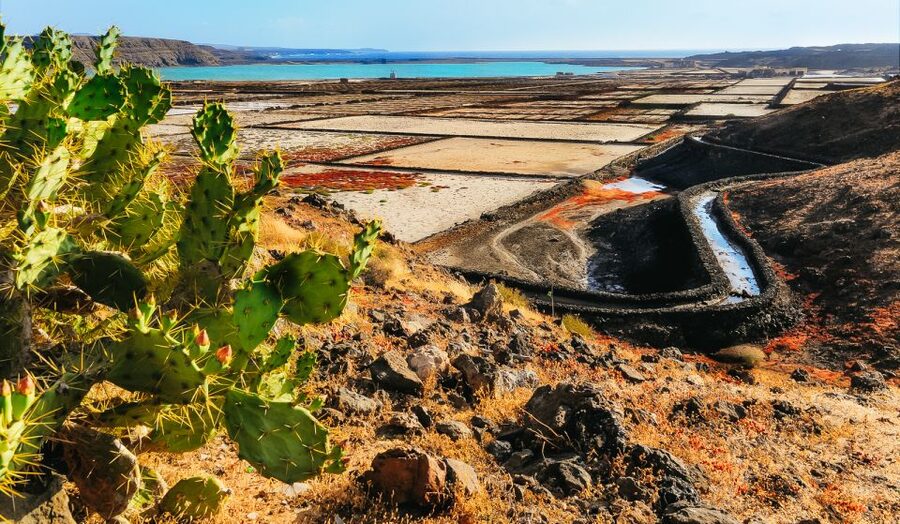 Lanzarote: Volcanos of Timanfaya and Caves Tour with Lunch - Timanfaya’s official Volcanoes Route