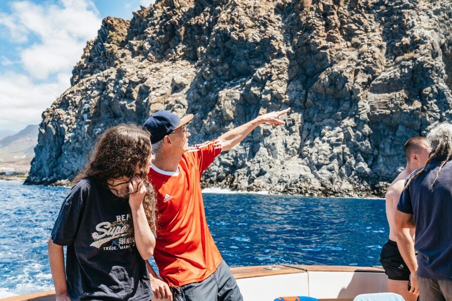Las Galletas: Whale & Dolphin Tour with Local Skipper - Searching for whales and dolphins off Tenerife