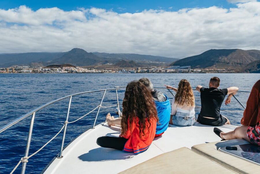 Las Galletas: Whale & Dolphin Tour with Local Skipper - The honest warning about rough water