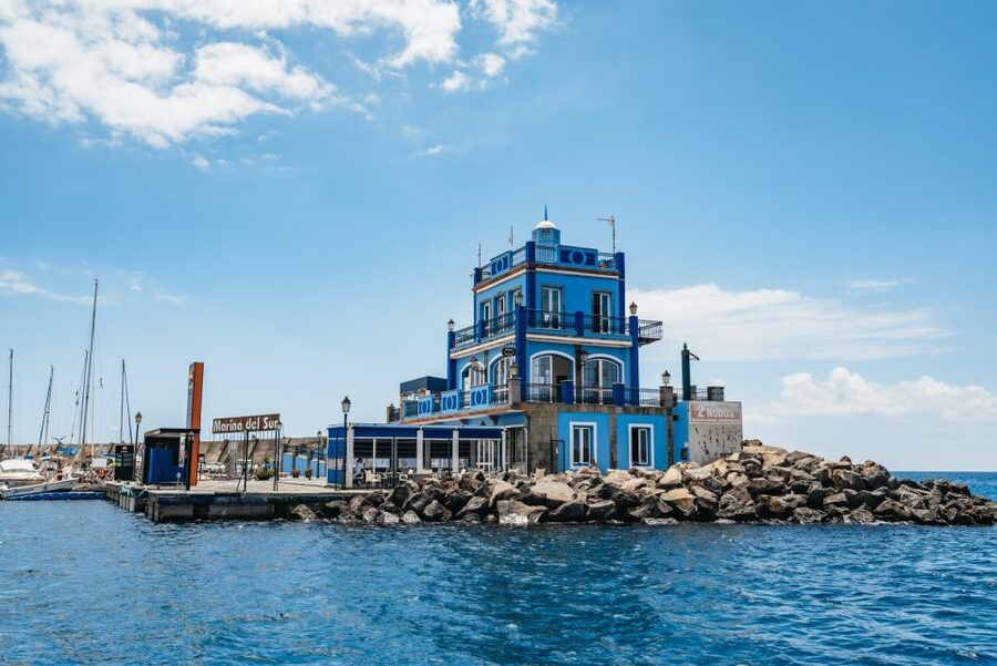 Las Galletas: Whale & Dolphin Tour with Local Skipper - A homemade lunch with local flavors