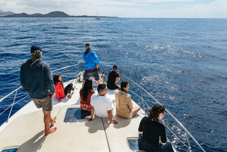 Las Galletas: Whale & Dolphin Tour with Local Skipper - The return along Punta de Rasca