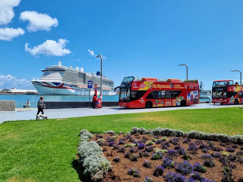 Las Palmas: City Sightseeing Hop-On Hop-Off Bus Tour - San Telmo, the marina, and the aquarium