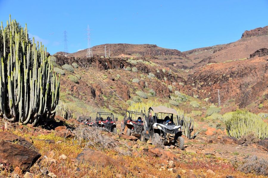 Las Palmas: Gran Canaria Guided Buggy Tour - What the $141 price really buys you