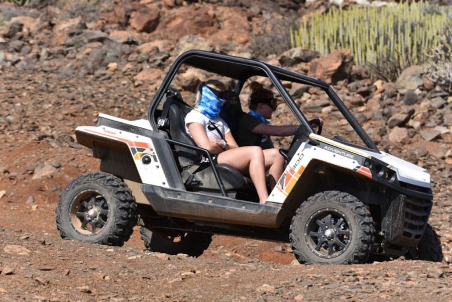 Las Palmas: Gran Canaria Guided Buggy Tour - Scenic stops above southern Gran Canaria