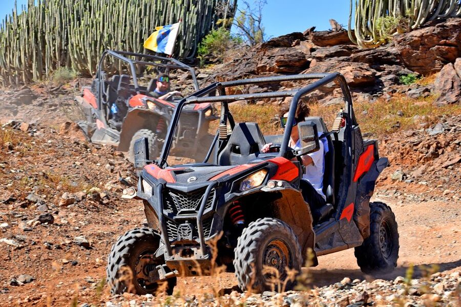 Las Palmas: Gran Canaria Guided Buggy Tour - How the guides shape the experience