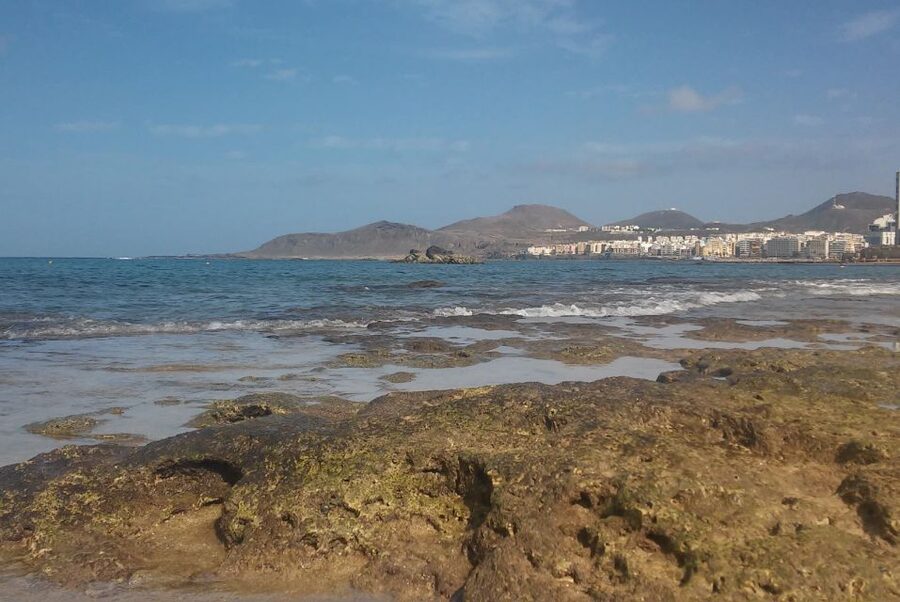 Las Palmas: Las Canteras Beach Snorkeling Trip - The first minutes in the water