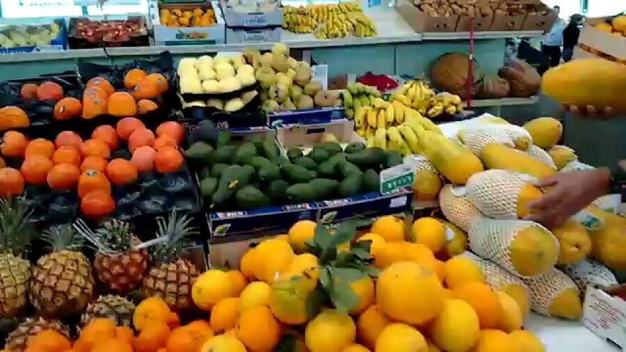 Las Palmas: Private Old City Guided Walking Tour with Tapas - Who should book this Las Palmas tour?