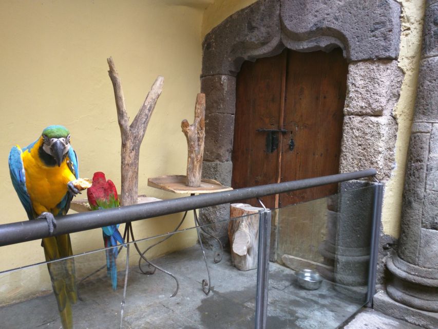 Las Palmas: Private Old City Guided Walking Tour with Tapas - Why a private walk works well in Las Palmas