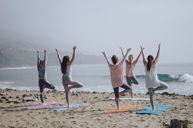 Lezioni di Surf per Beginner e Intermedi (6 persone a istruttore) - Safety and physical effort