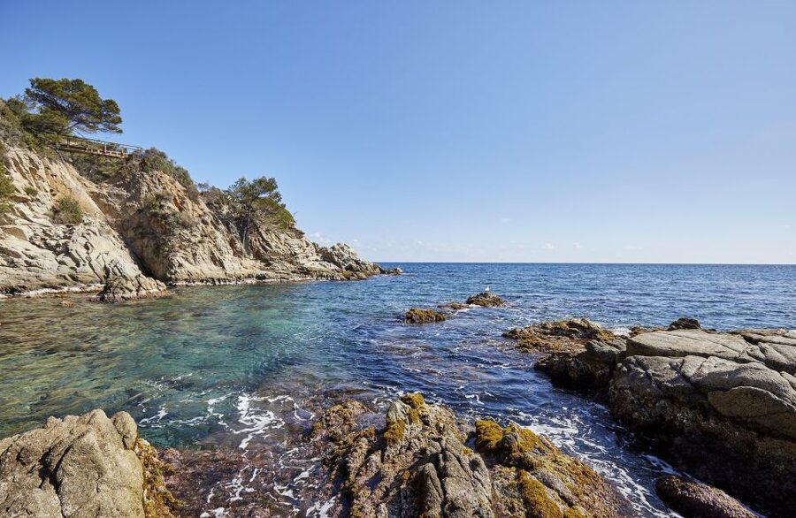 Lloret de Mar: Costa Brava Kayak Tour and Swimming - Starting on Fenals Beach with a short lesson