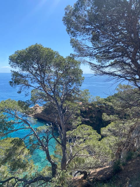 Lloret de Mar: Guided Sightseeing Tour in a 4x4 Vehicle - Is $40 a fair price?