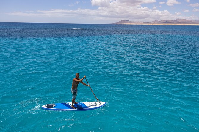 Lobos Island Half-Day Sailing Tour with Lunch - Wildlife sightings and the value of luck
