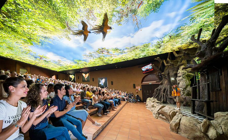 Loro Parque and Siam Park Combined Admission Tickets - Key points to know before you go
