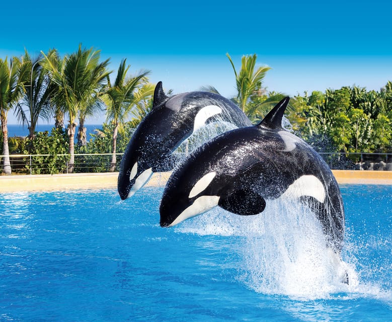 Loro Parque and Siam Park Combined Admission Tickets - Two parks, two very different days