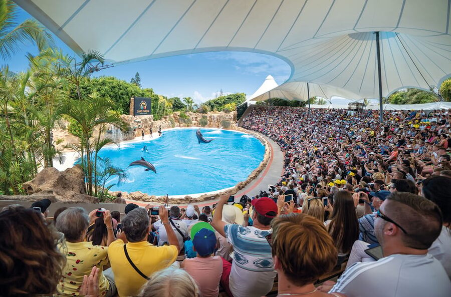 Loro Parque and Siam Park Combined Admission Tickets - Reaching Loro Parque from Puerto de la Cruz