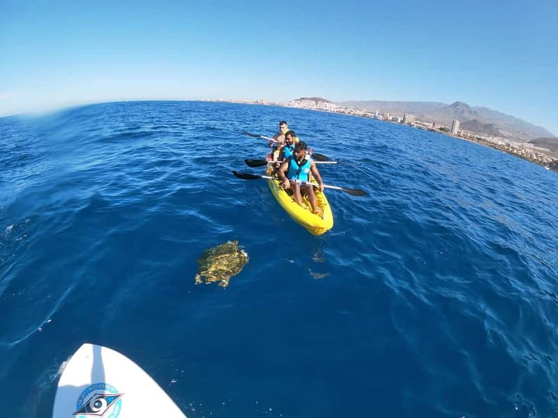 Los Cristianos: Kayak and Snorkel with Turtles and Photos - Who should book this outing