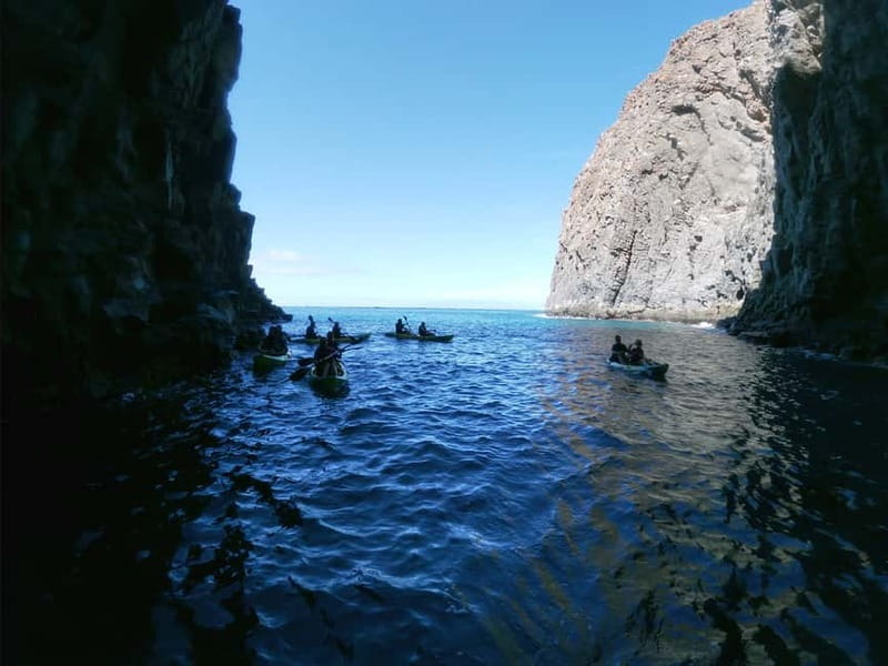 Los Cristianos: Kayak and Snorkel with Turtles and Photos - The first paddle past Tenerife’s black volcanic cliffs