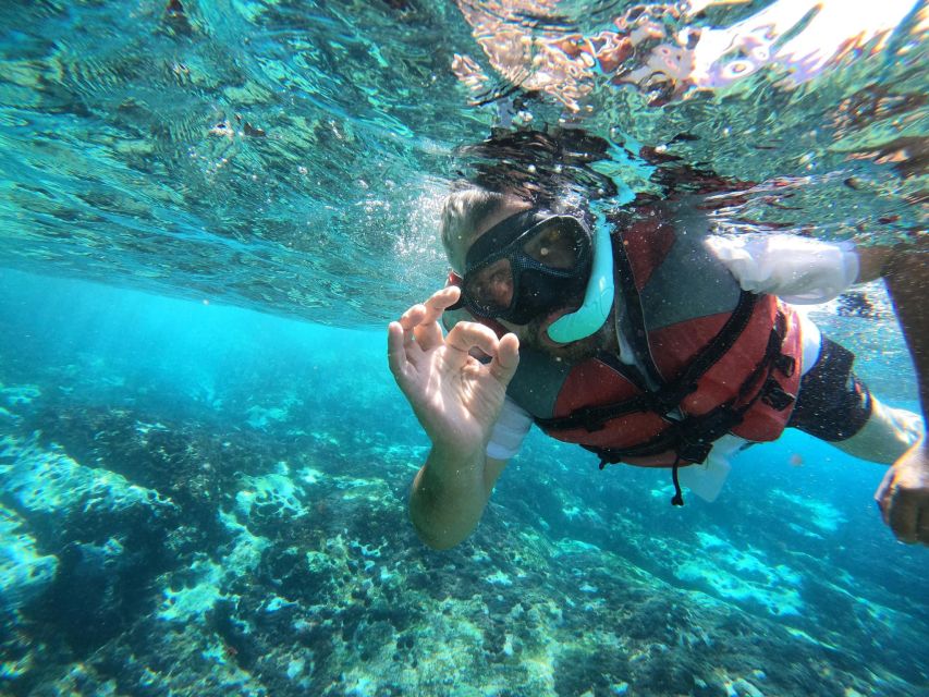 Los Cristianos: Kayaking and Snorkeling with Marine Wildlife - What the $53 price really covers