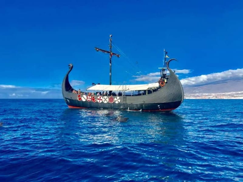 Los Cristianos: Viking Cruise Whales & Dolphins Watching - Looking for pilot whales and dolphins