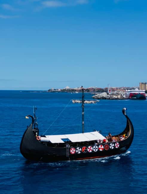 Los Cristianos: Viking Cruise Whales & Dolphins Watching - Motion sickness and sea conditions