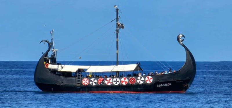 Los Cristianos: Viking Cruise Whales & Dolphins Watching - Booking, cancellation, and timing tips